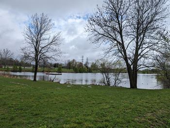 a body of water near some trees and grass